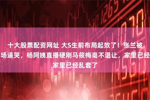 十大股票配资网址 大S生前布局起效了！张兰被孙子当场逼哭，杨阿姨直播硬刚马筱梅毫不退让，家里已经乱套了